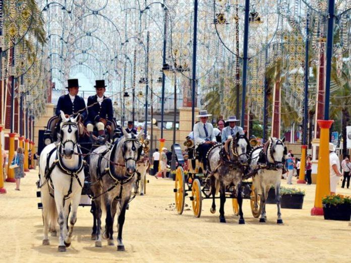 Centro Sol Plazuela * Jerez de la Frontera